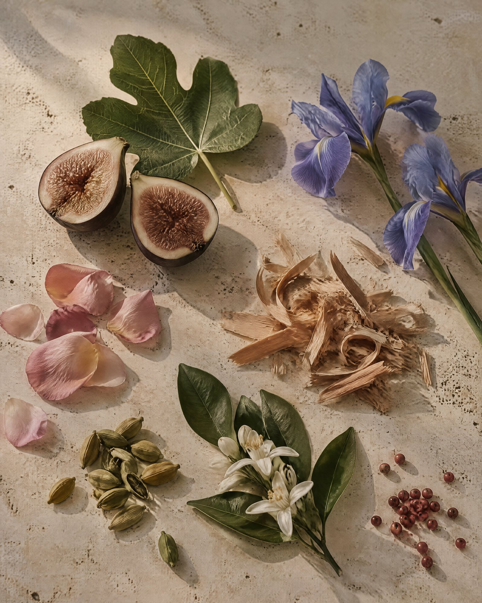Fig, iris, cedar shavings, rose petals, cardamom and orange blossom on travertine
