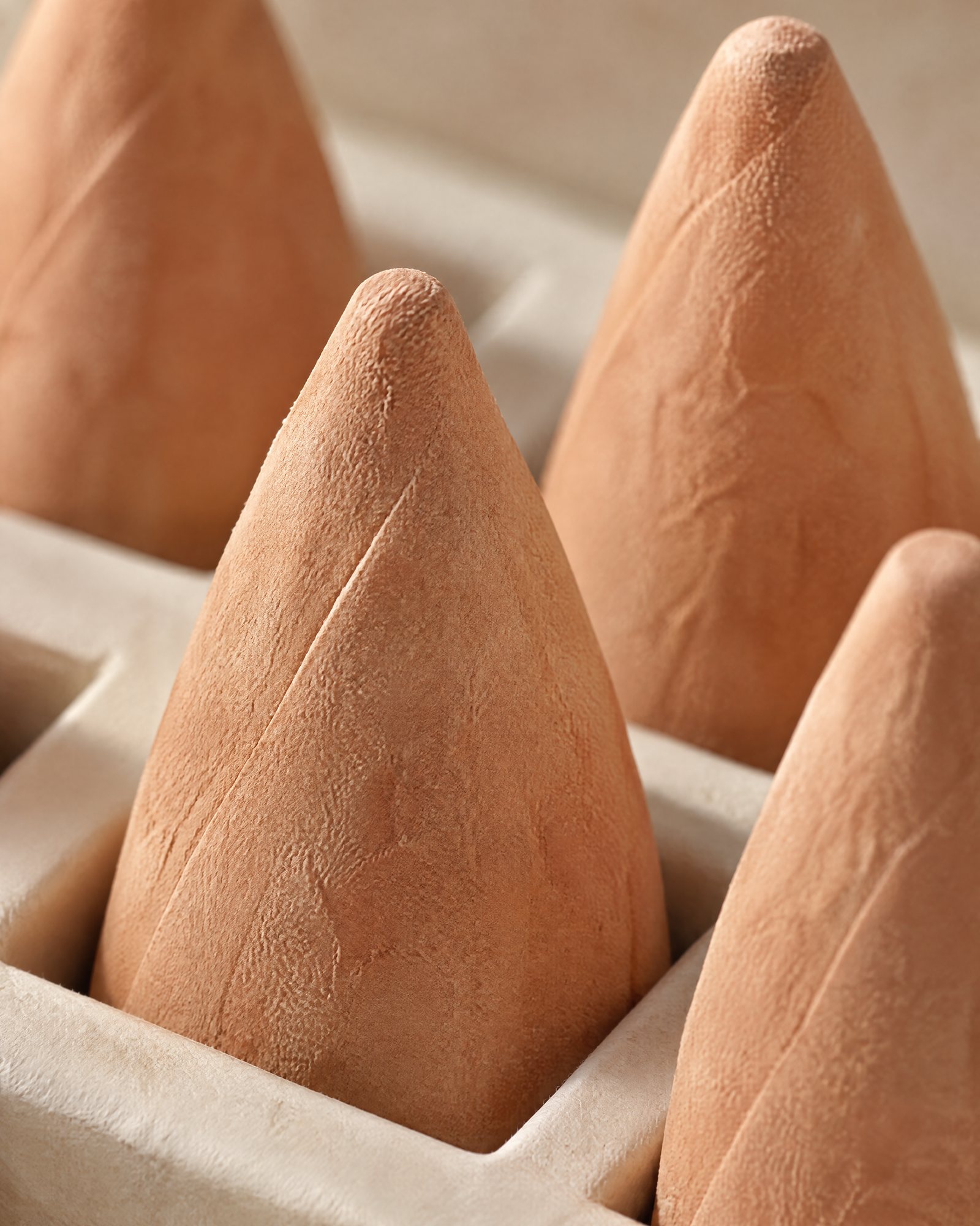 Close-up of Neroli & Tuberose Incense Cones